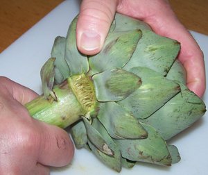 Broken artichoke stalk