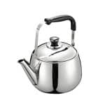 Tea Kettle Whistling Teapot for Stovetop,