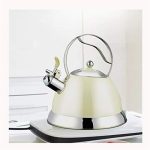 IIPOSAQQ Tea Kettle for Stove Top Surgical